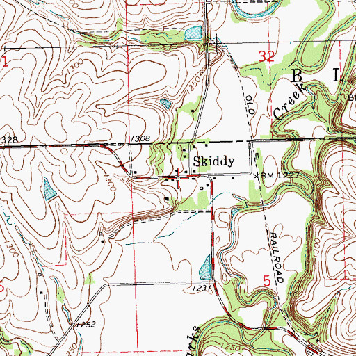 Topographic Map of Skiddy, KS