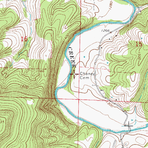 Topographic Map of Chaney Cemetery, AR