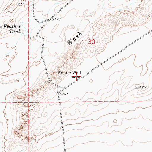 Topographic Map of Foster Well, AZ