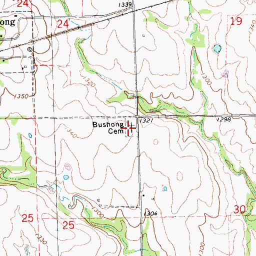 Topographic Map of Bushong Cemetery, KS