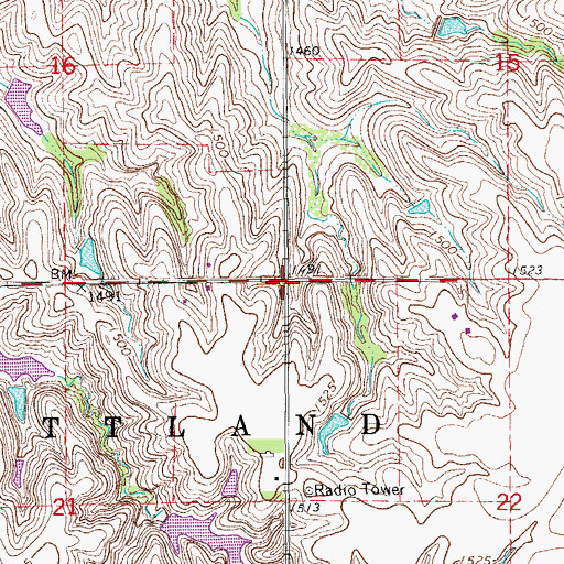 Topographic Map of Township of New Gottland, KS