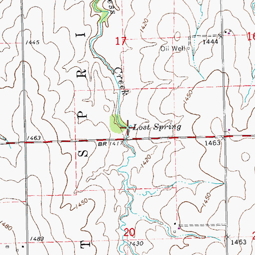 Topographic Map of Lost Spring, KS