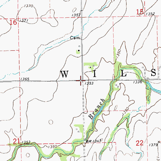 Topographic Map of Township of Wilson, KS