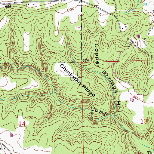 Topographic Map of Chinkapin Ridge, AR
