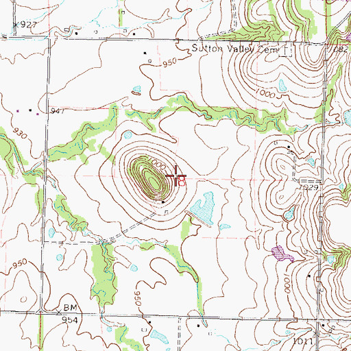 Topographic Map of Township of Walker, KS