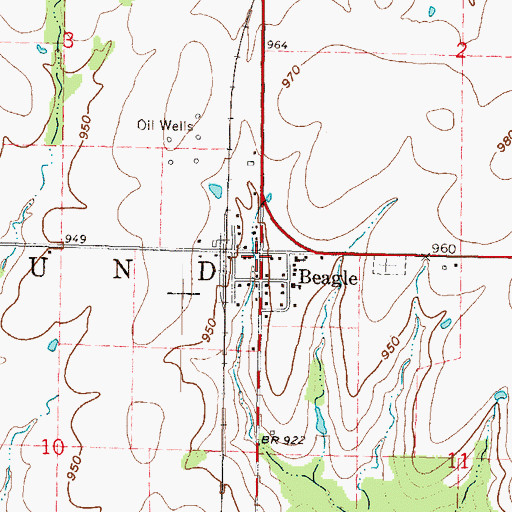 Topographic Map of Beagle, KS