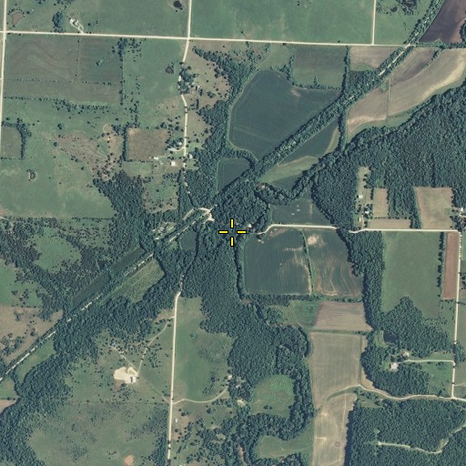 Aerial/Satellite Image of Skunk Branch, KS