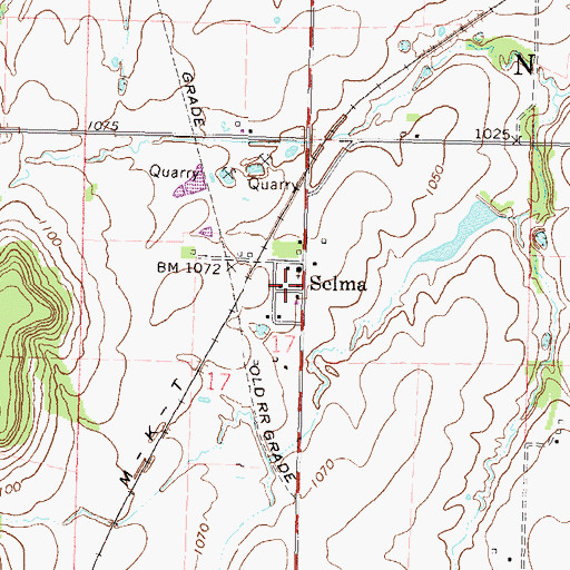 Topographic Map of Selma, KS