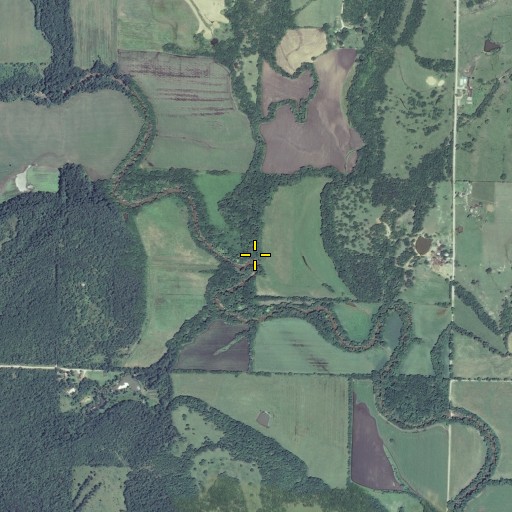 Aerial/Satellite Image of Bell Branch, KS