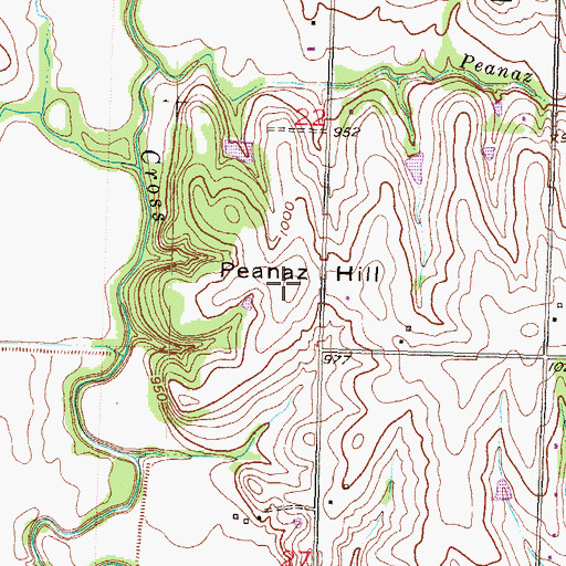 Topographic Map of Peanaz Hill, KS