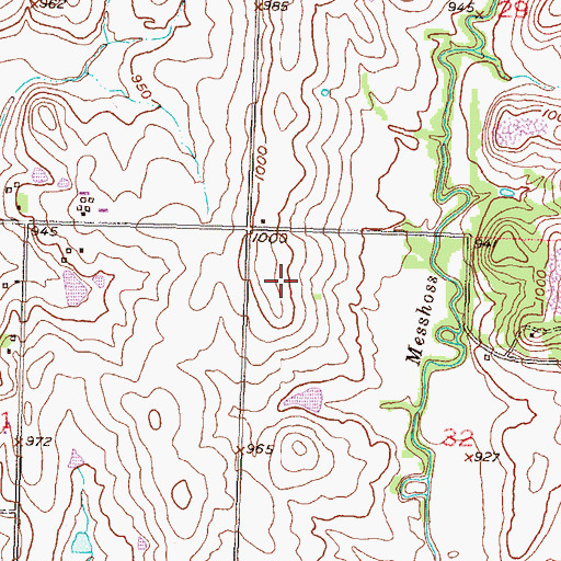 Topographic Map of Township of Menoken, KS