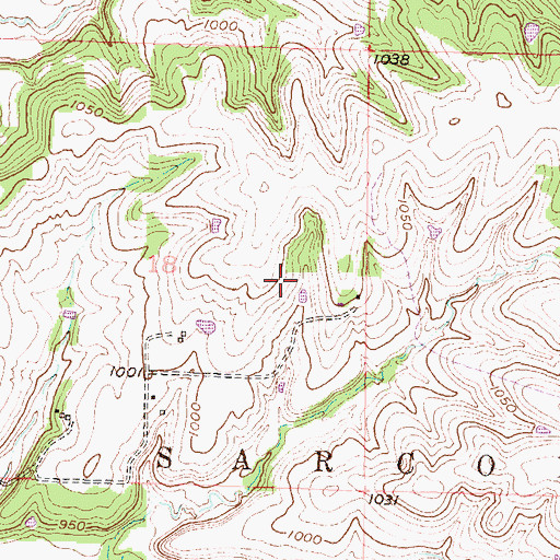 Topographic Map of Township of Sarcoxie, KS