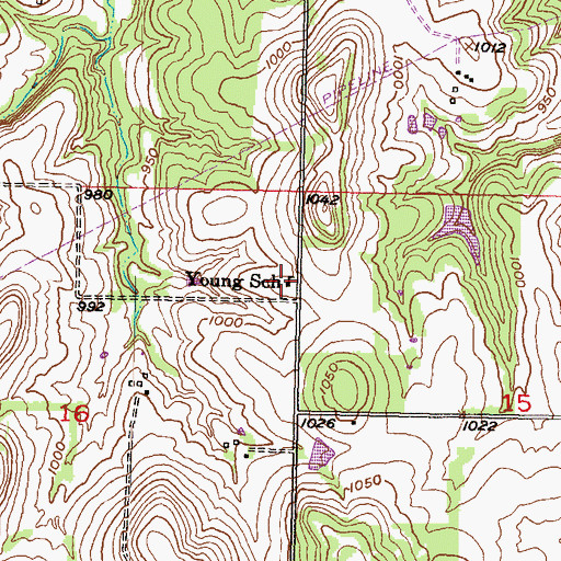 Topographic Map of Young School (historical), KS
