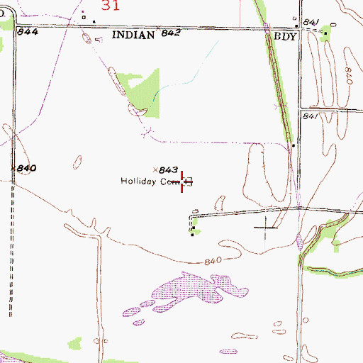 Topographic Map of Holliday Cemetery, KS