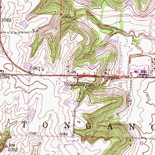 Topographic Map of Tonganoxie Cemetery, KS