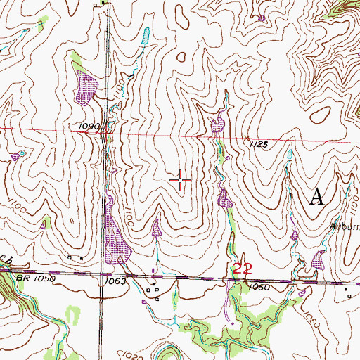 Topographic Map of Township of Auburn, KS