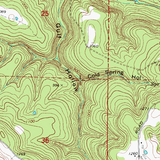 Topographic Map of Cold Spring Hollow, AR