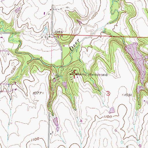 Topographic Map of Camp Hammond, KS