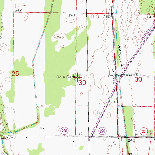 Topographic Map of Cole Cemetery, AR