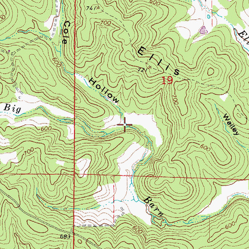 Topographic Map of Cole Hollow, AR
