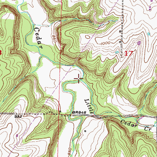 Topographic Map of Little Cedar Creek, KS