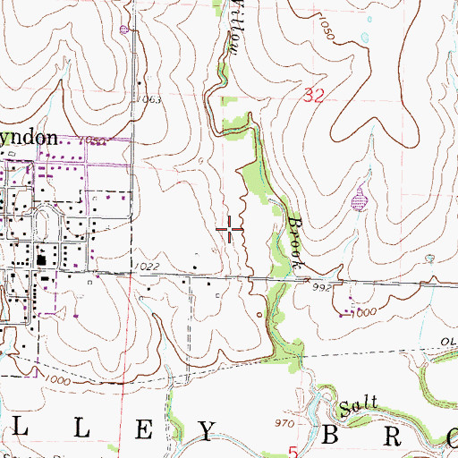 Topographic Map of Township of Valley Brook, KS