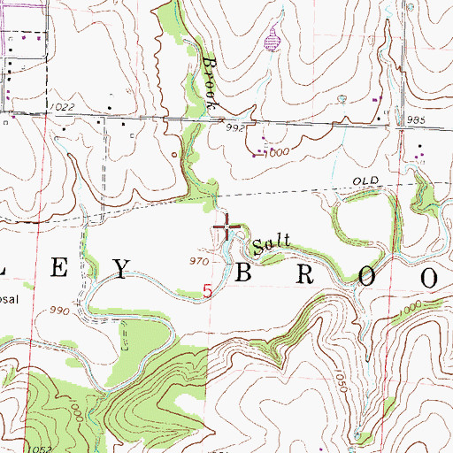 Topographic Map of Willow Brook, KS