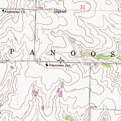 Topographic Map of Township of Appanoose, KS