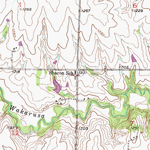 Topographic Map of Sharon School, KS
