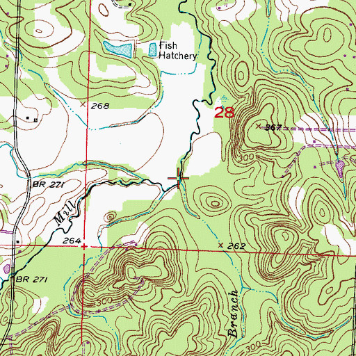Topographic Map of Comer Branch, AR