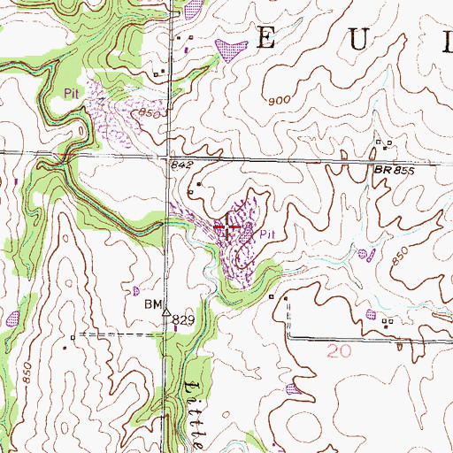 Topographic Map of Township of Eudora, KS