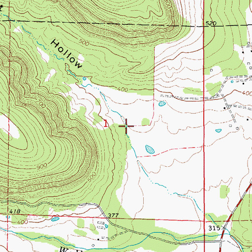 Topographic Map of Conditt Hollow, AR
