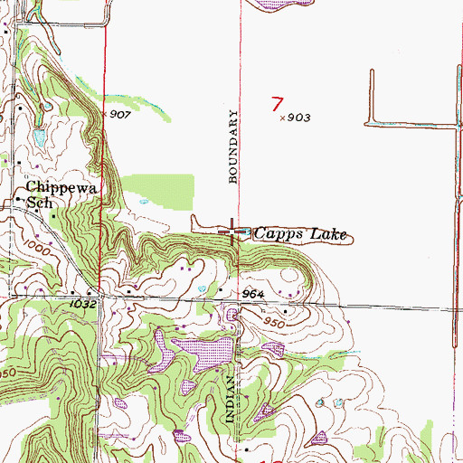 Topographic Map of Capps Lake, KS