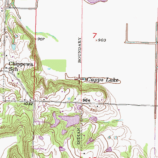 Topographic Map of Capps Lake, KS