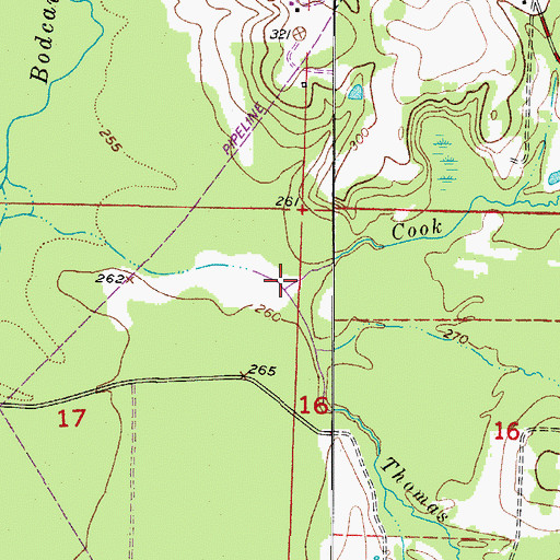 Topographic Map of Cook Branch, AR