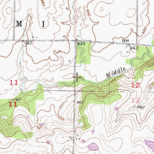 Topographic Map of Jake Branch, KS