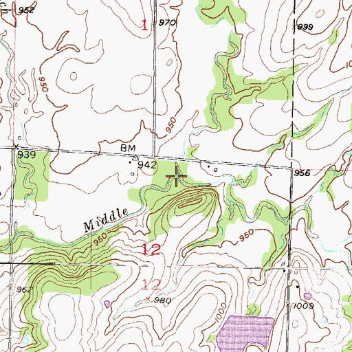 Topographic Map of Rodgers Branch, KS
