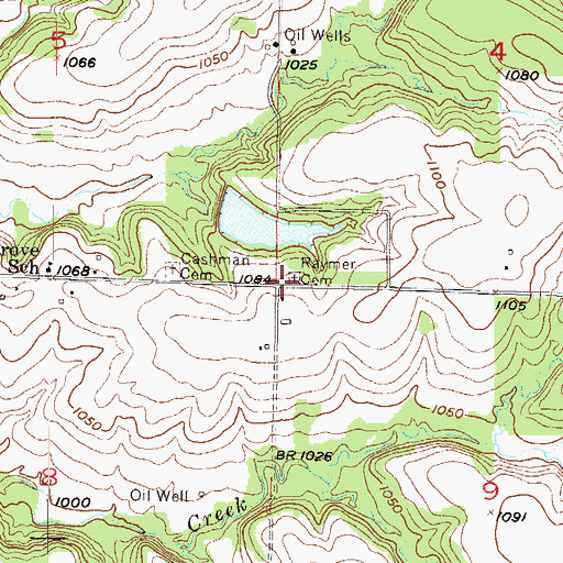Topographic Map of Wilson - Raymer Cemetery, KS