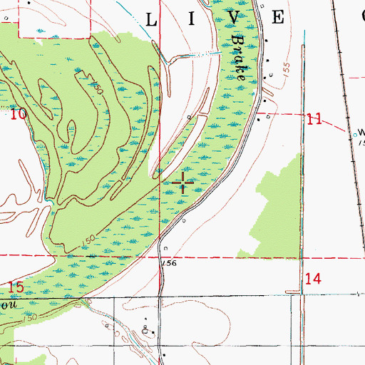 Topographic Map of Coon Bayou Brake, AR