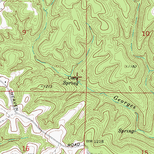Topographic Map of Coon Spring, AR