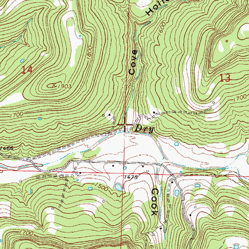 Topographic Map of Cove Hollow, AR