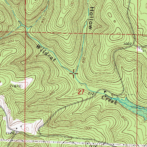 Topographic Map of Cove Hollow, AR