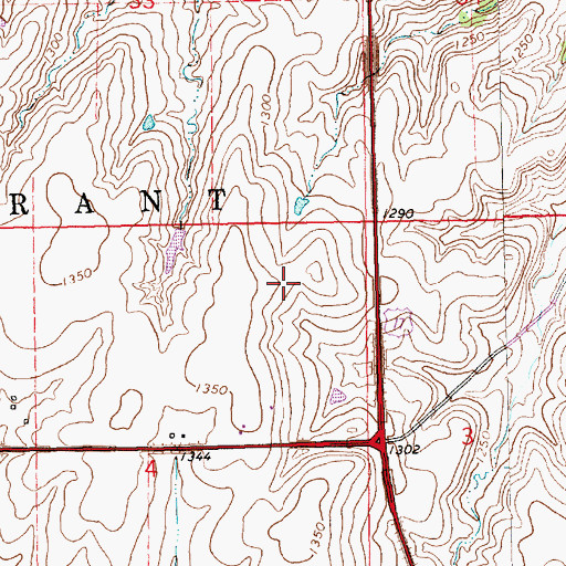 Topographic Map of Leo's Place Airport, KS