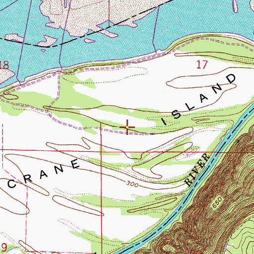 Topographic Map of Crane Island, AR