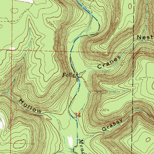 Topographic Map of Cranes Nest Hollow, AR