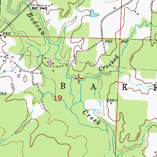 Topographic Map of Crooked Branch, AR