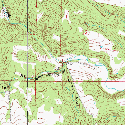 Topographic Map of Cross Hollow, AR
