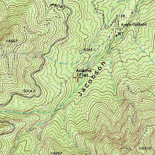 Topographic Map of Adams Flat, AZ