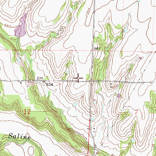 Topographic Map of Coalsburg (historical), KS