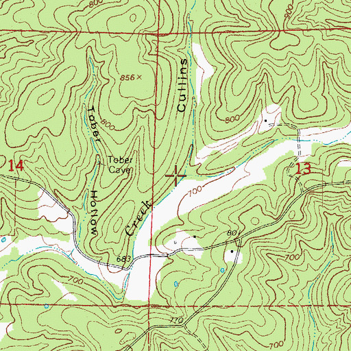 Topographic Map of Cullins Hollow, AR